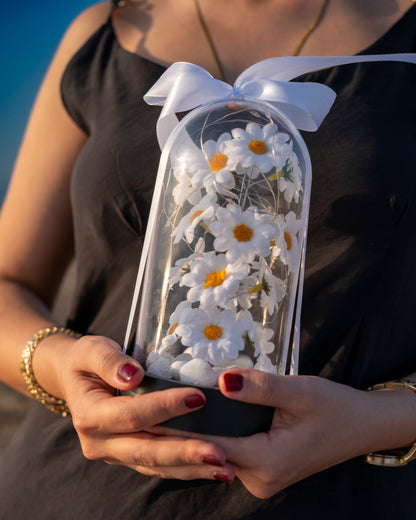 ByShopping™ Dekoratif Led Işıklı Papatya Fanusu Hediyelik Fanus