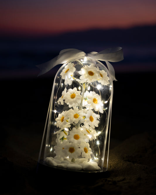 ByShopping™ Büyük Boy Dekoratif Led Işıklı Papatya Fanusu