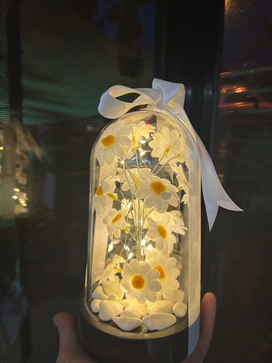ByShopping™ Dekoratif Led Işıklı Papatya Fanusu Hediyelik Fanus